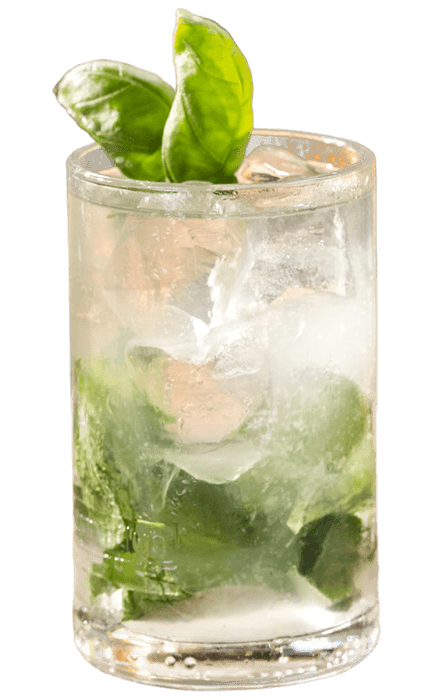 Basil mojito cocktail recipe